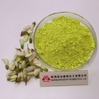 Pure Yellow Quercetin Powder CAS  117-39-5 Sophora Japonica Extract Water Solubility