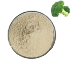 Organic Pure Sulforaphane 1% 2% 10% 98% Broccoli Extract Powder
