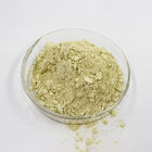 Yellow Quercetin High Purity Natural Plant Extracts Quercetin Powder Free Sample