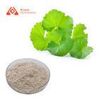 CAS 18449-41-7 Centella Asiatica Extract Asiaticoside Powder 80% Madecassic Acid