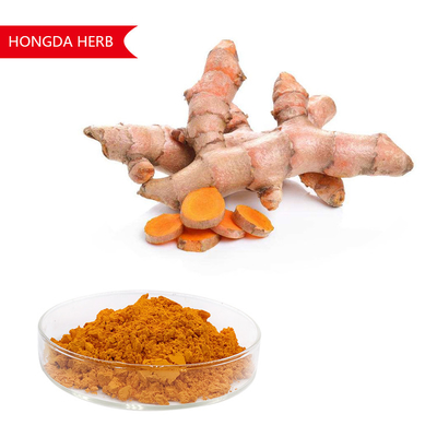 순수한 식물 추출물 커큐마 롱가 분말 95% HPLC 항산화 및 항염증
